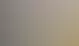 Case Study Mitarbeitersuche im Intranet